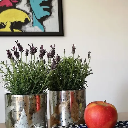 Apartment Garden Paryski *