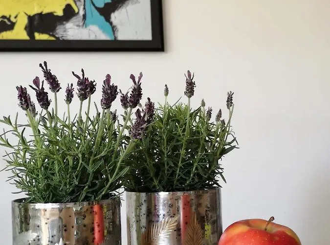 Апартаменты Garden Paryski *